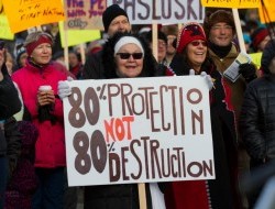 NGO community condemns Yukon Government Peel announcement Oct 2012 photo