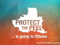Peel case headed to the Supreme Court of Canada photo